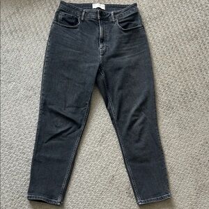 Everlane The Curvy Cheeky Jean, size 30 Crop